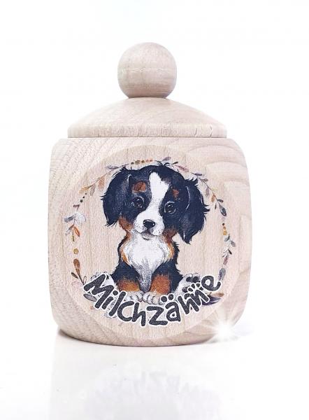 Berner Sennenhund Junge MZD